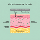 Penetração transdérmica dos ativos nas camadas da pele